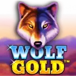 wolf-gold-logo